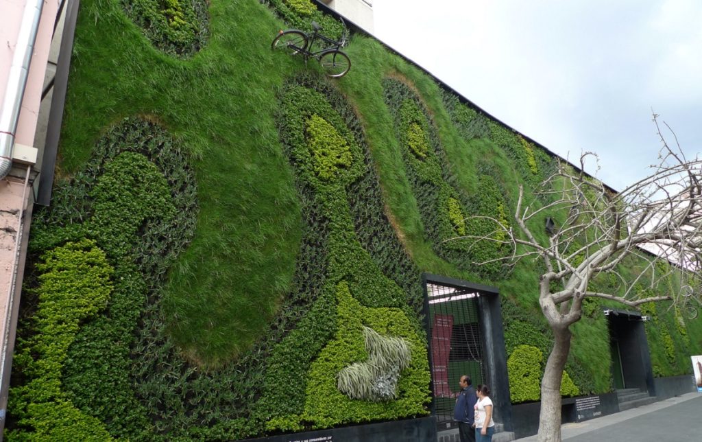 دیوار سبز هیدروپونیک
